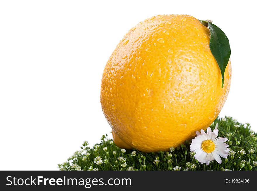 Fresh lemon on a green grass isolated on a white background