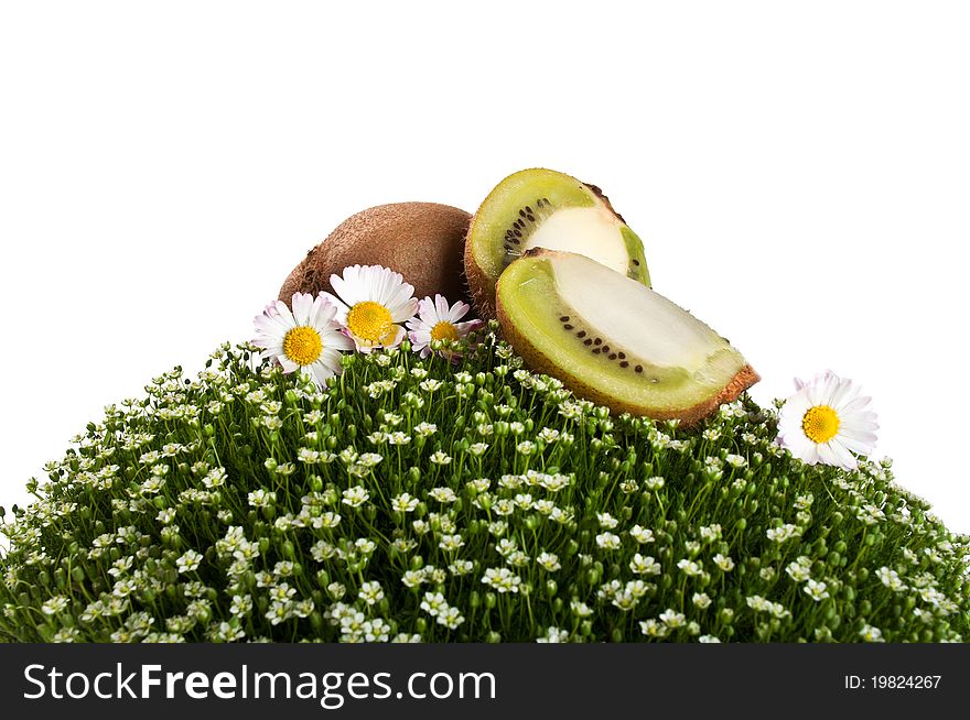 Kiwi on a green grass isolated on a white background