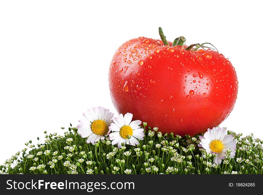 Fresh tomato on a green grass isolated on a white background