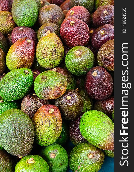 Pile of fresh Avocados in a market stand