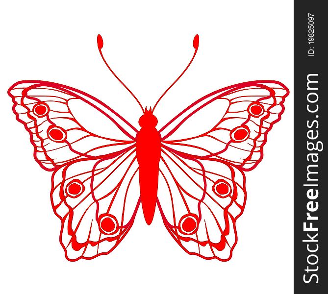 Vector Illustration of detailed butterfly silhouette.