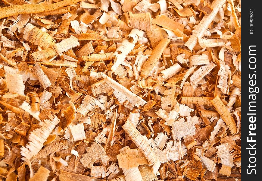 Background Of The Golden Curls Of Wood Shavings