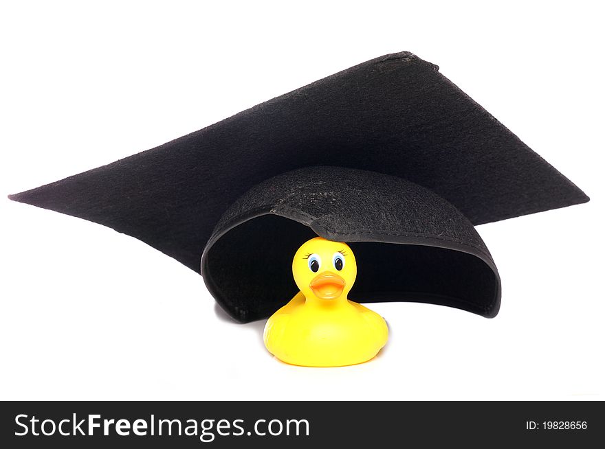 Yellow rubber duck wearing a mortar board hat