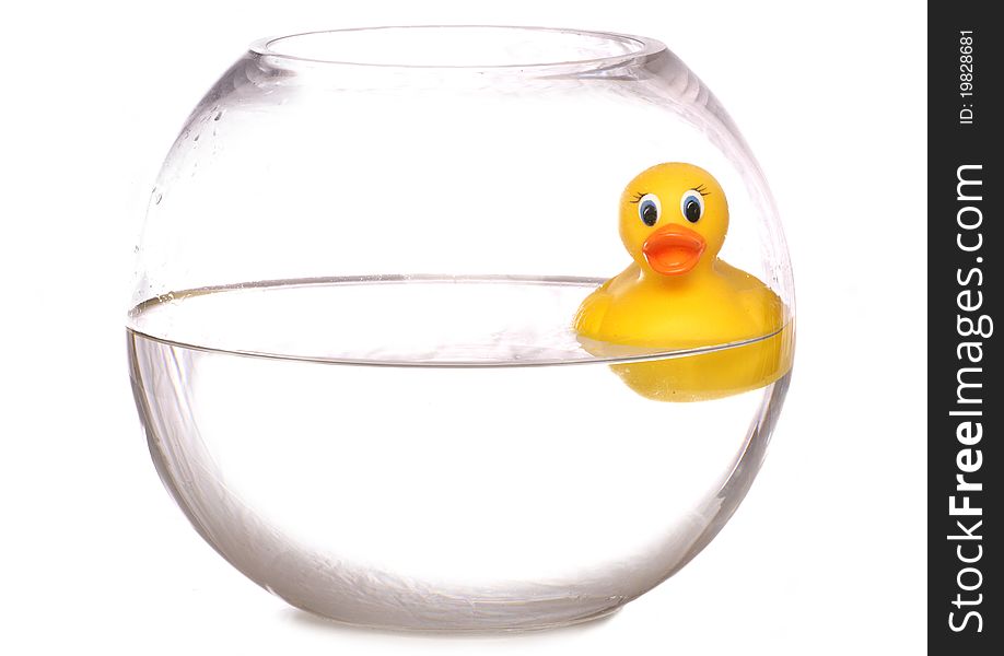 Yellow rubber duck in a fish bowl
