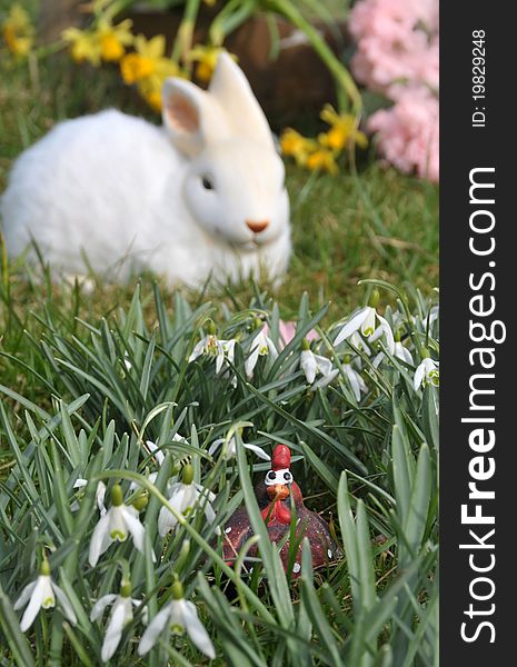 Feature photo easter with snowdrops and white bunny