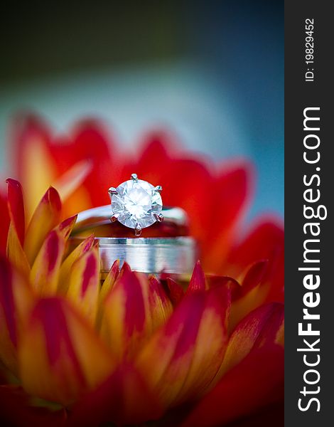 Wedding rings resting in a flower