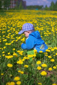 Little Boy Through Dandelions Royalty Free Stock Photos Little Boy Through Dandelions Royalty Free Stock Photos