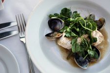 White Fish With Watercress And Clams Royalty Free Stock Photography White Fish With Watercress And Clams Royalty Free Stock Photography