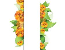 Everlasting Flowers With Space For Your Text Stock Photo Everlasting Flowers With Space For Your Text Stock Photo