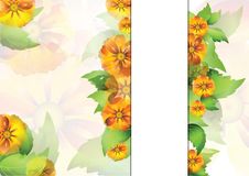 Everlasting Flowers With Space Strip For Your Text Royalty Free Stock Photo Everlasting Flowers With Space Strip For Your Text Royalty Free Stock Photo