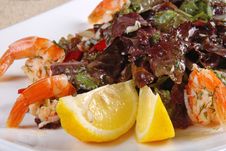 Shrimp Salad 3 Stock Photo Shrimp Salad 3 Stock Photo