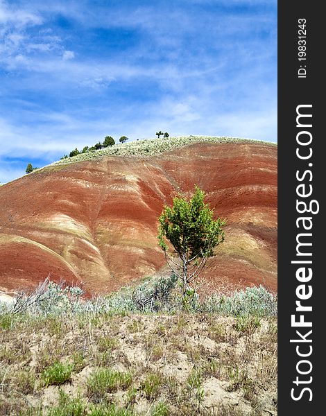 A section of the painted hills under a bright blue sky. A section of the painted hills under a bright blue sky.