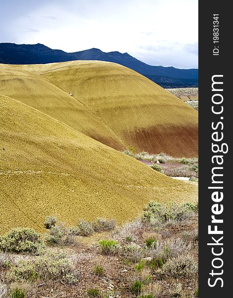 The yellow color of the Painted Hills in north central Oregon. The yellow color of the Painted Hills in north central Oregon.