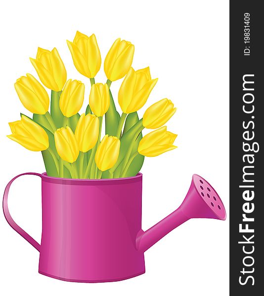 Fresh spring tulips in bucket, illustration