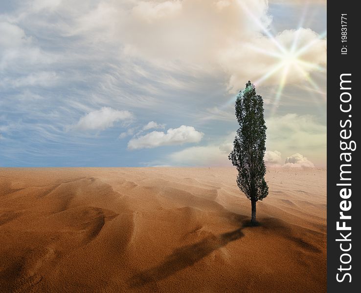 Desert. Illustration on the theme of environmental conservation.