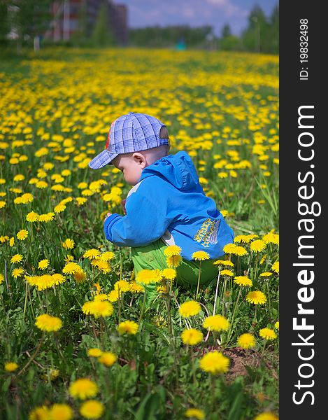 Photo of the Little boy through dandelions