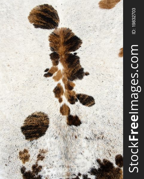 Animal excellent fur to use for your design
