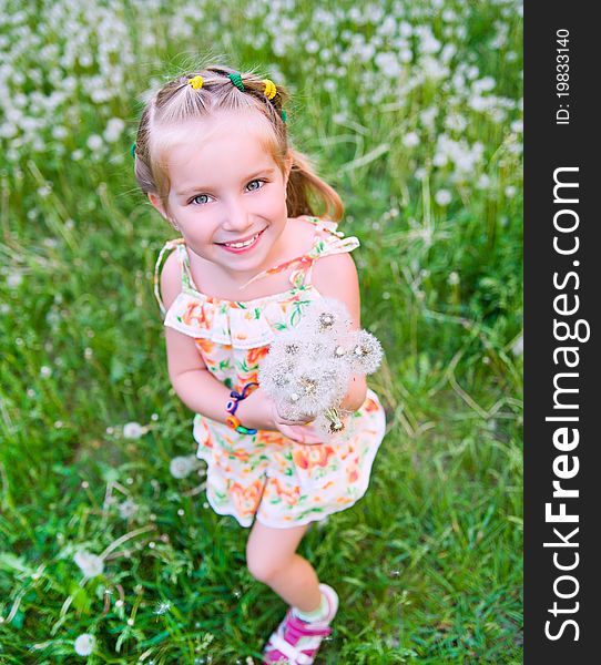 Cute little girl  on the meadow