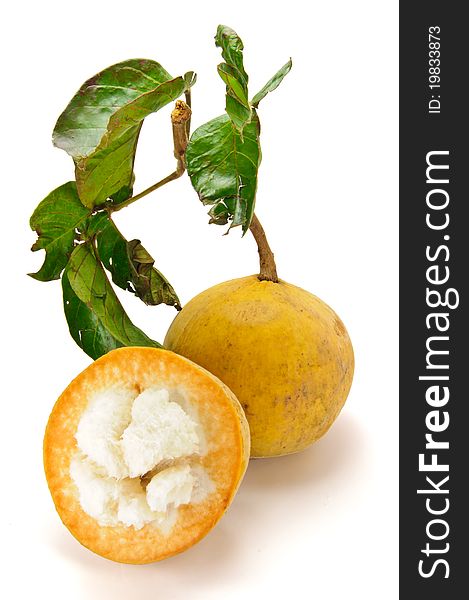 Santol is a tropical fruit in white background. Santol is a tropical fruit in white background