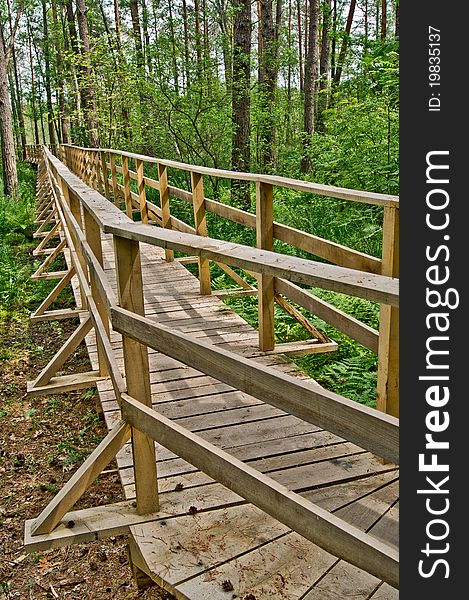 The nature trail in a nature reserve, The footbridge leading to the lake. The nature trail in a nature reserve, The footbridge leading to the lake