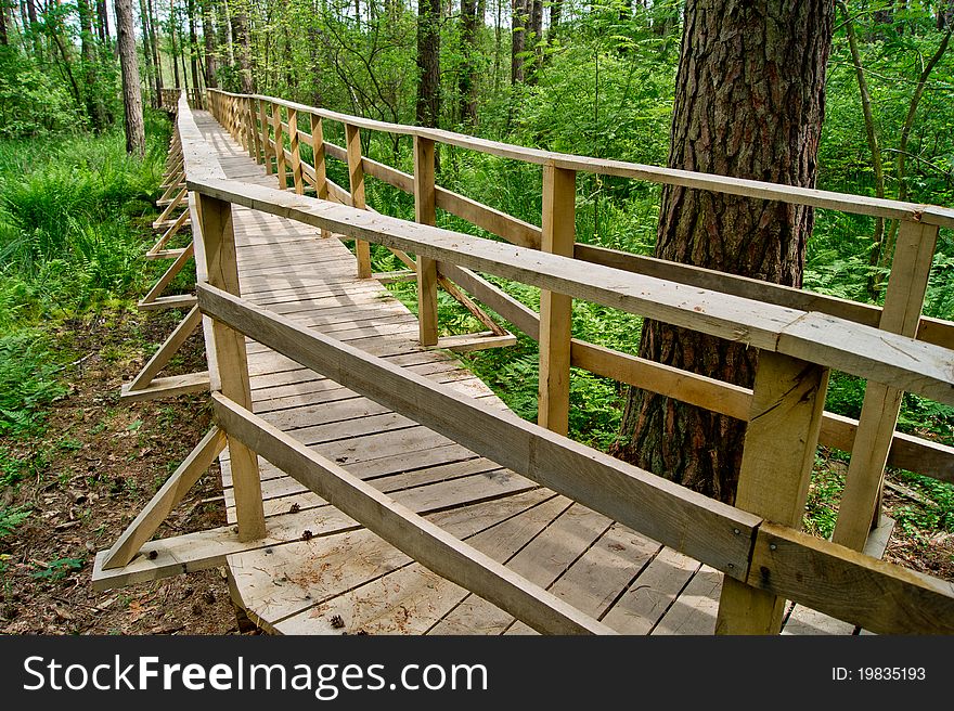 The nature trail in a nature reserve, The footbridge leading to the lake. The nature trail in a nature reserve, The footbridge leading to the lake