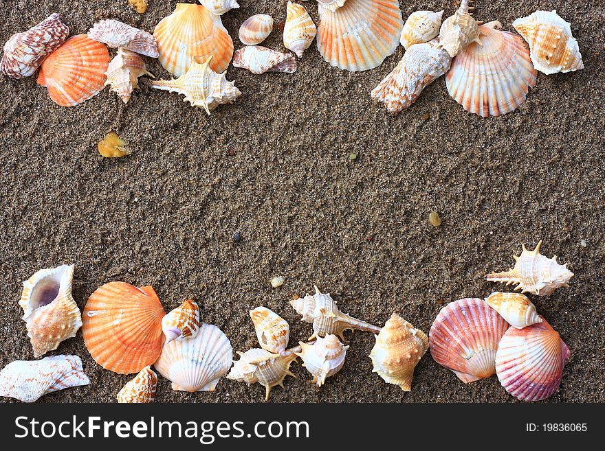 Shell frame on sane beach