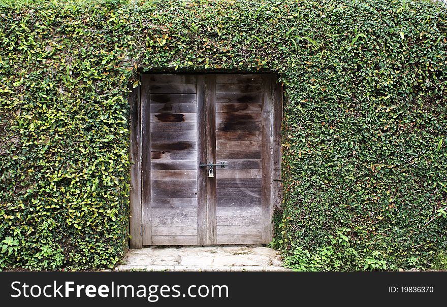 An ancient wood door with grass on wall, Okinawa Japan