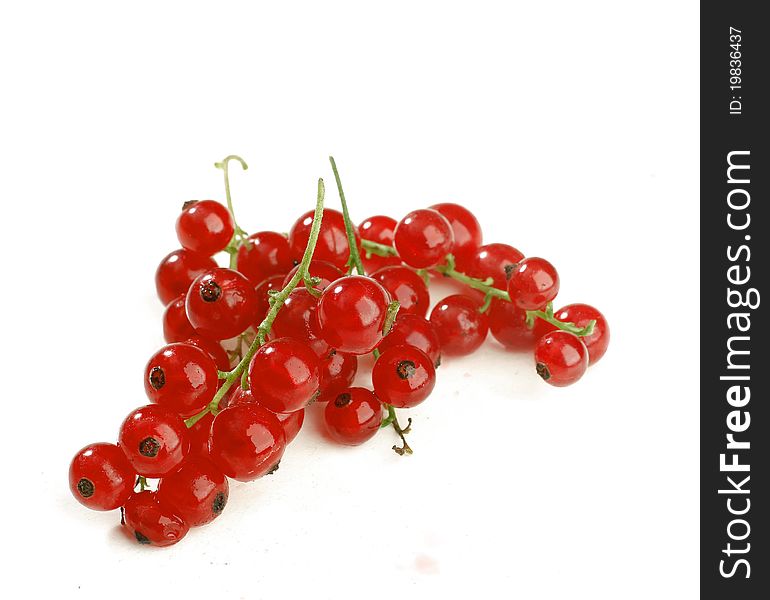 Twig of juicy red currant isolated on white background