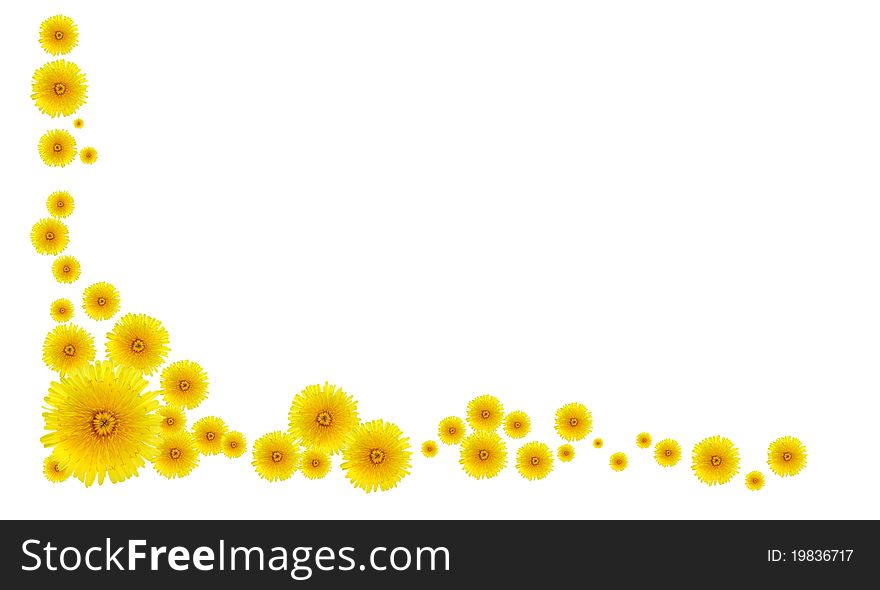Border made from lot of yellow dandelion flowers. Border made from lot of yellow dandelion flowers