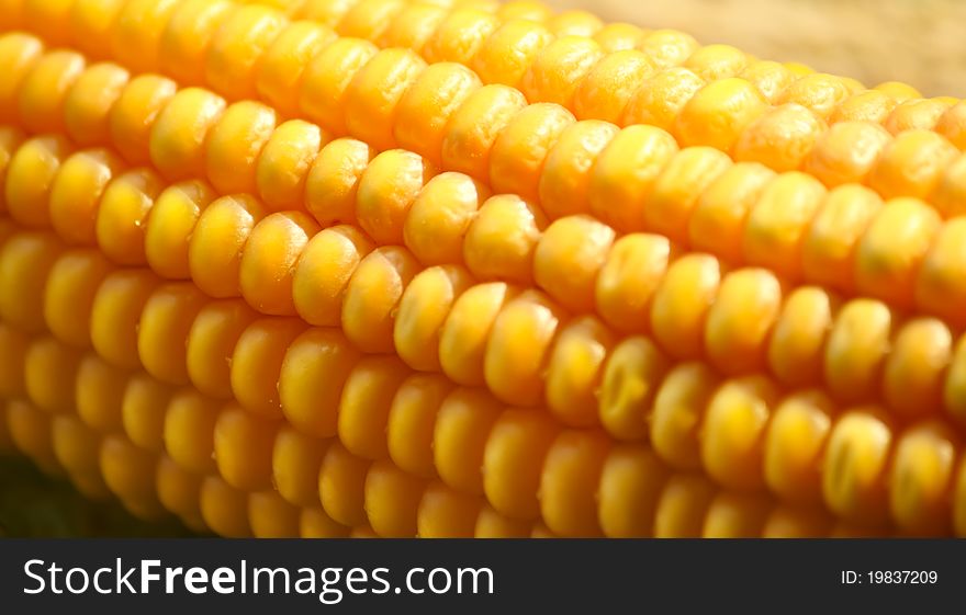 Sweet corn