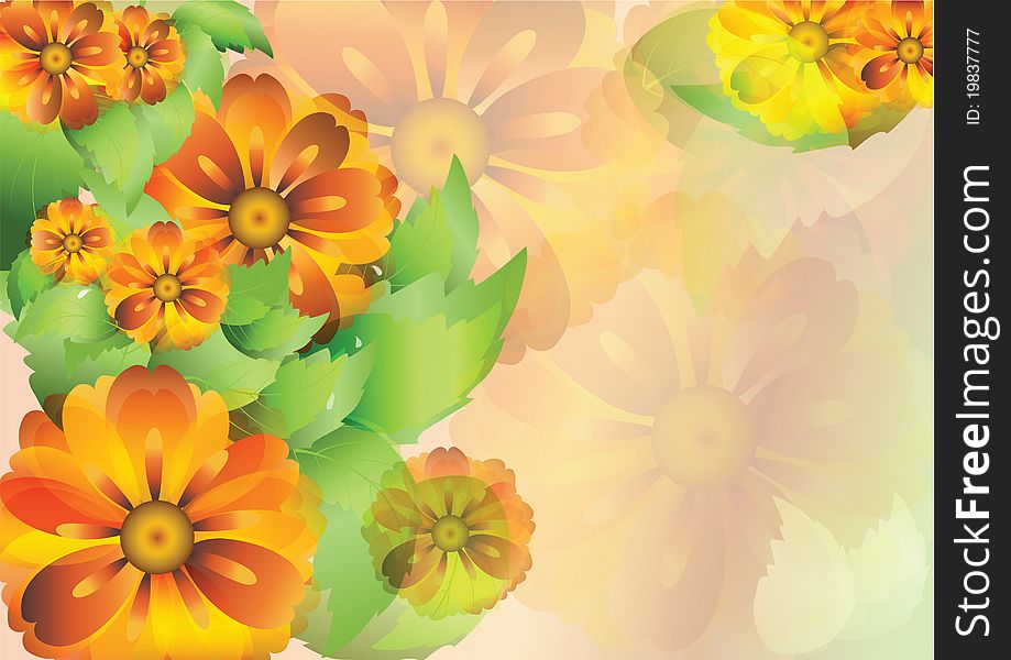 Color background with everlasting flowers and leaves and swirl. Color background with everlasting flowers and leaves and swirl