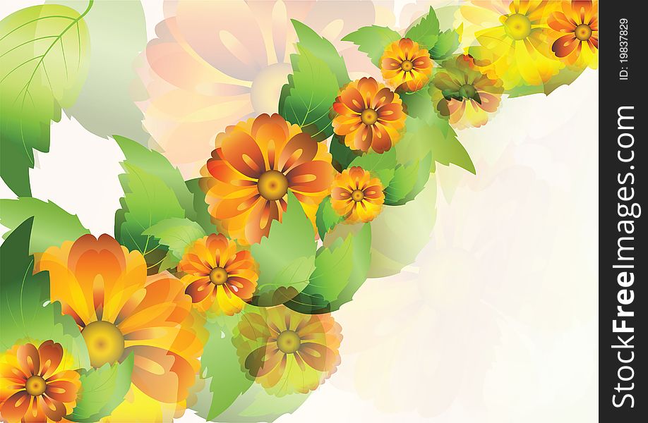 Everlasting Flowers Background2