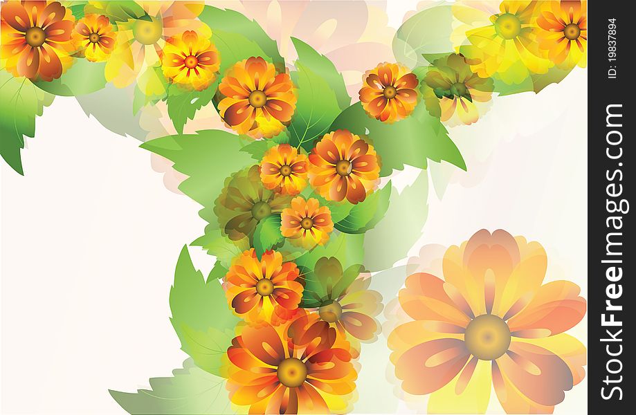 Color background with everlasting flowers and leaves and swirl. Color background with everlasting flowers and leaves and swirl