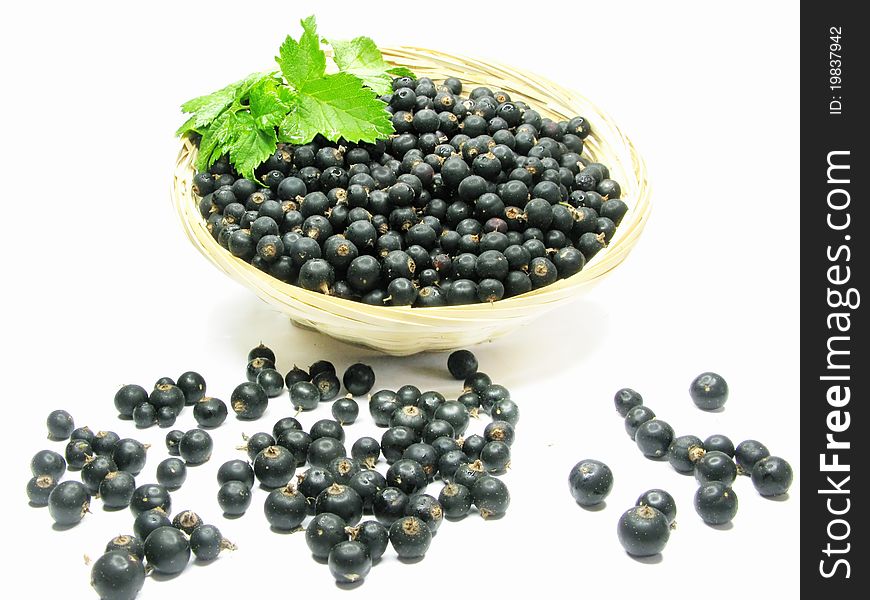 Fruit dessert with currant berries in bowl