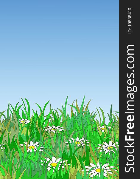 Summer Meadow Background