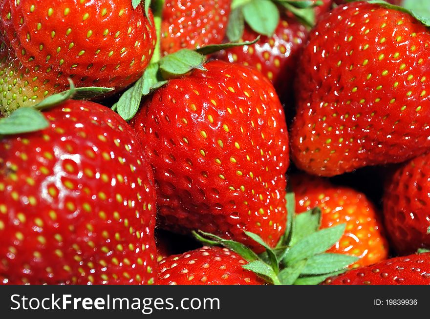 Close-up of the fresh ripe strawberries. Close-up of the fresh ripe strawberries