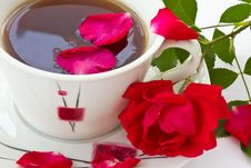 Rose Tea Royalty Free Stock Image Rose Tea Royalty Free Stock Image