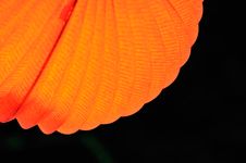 Chinese Paper Lantern Royalty Free Stock Image Chinese Paper Lantern Royalty Free Stock Image
