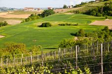 Italian Vineyard: Monferrato Stock Photos Italian Vineyard: Monferrato Stock Photos