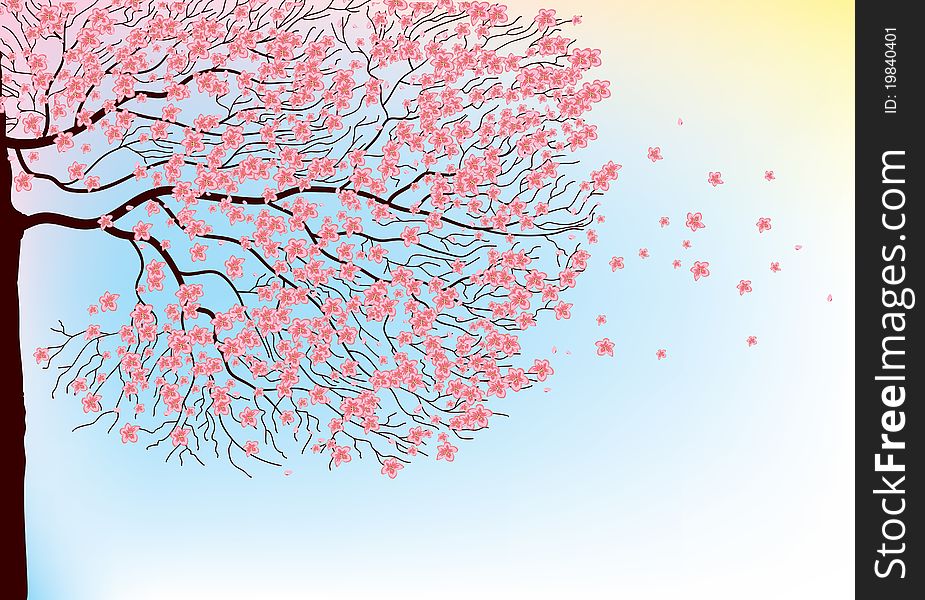 Sakura Tree