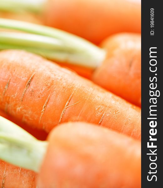 Bunch Of Crunchy Carrots Close-up