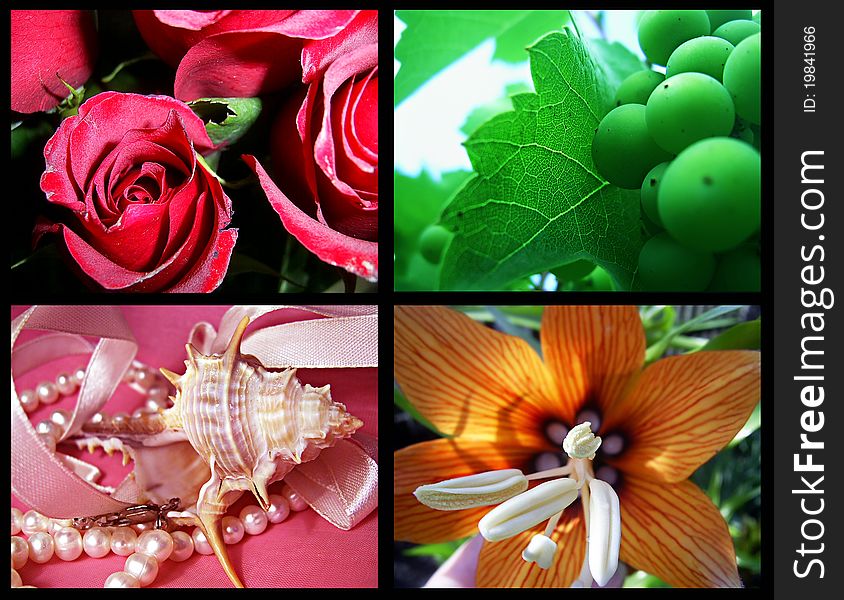 Beautiful nature collage of four photos. Beautiful nature collage of four photos.