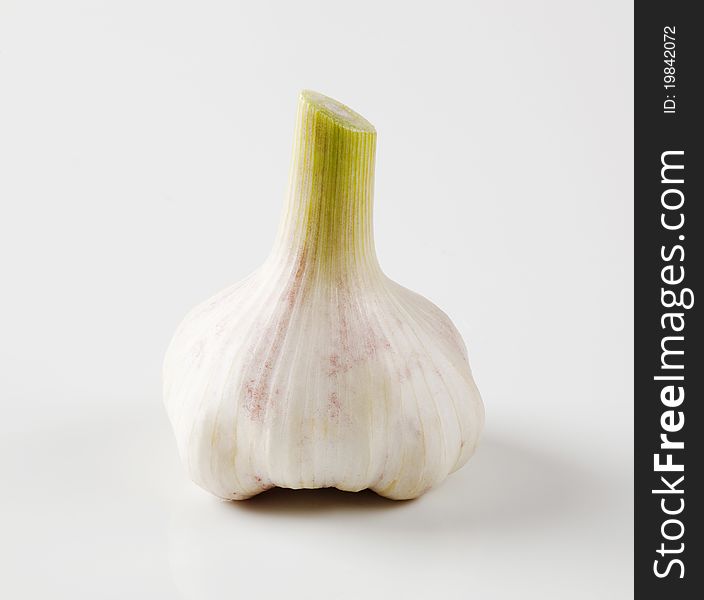 Single garlic bulb - studio shot