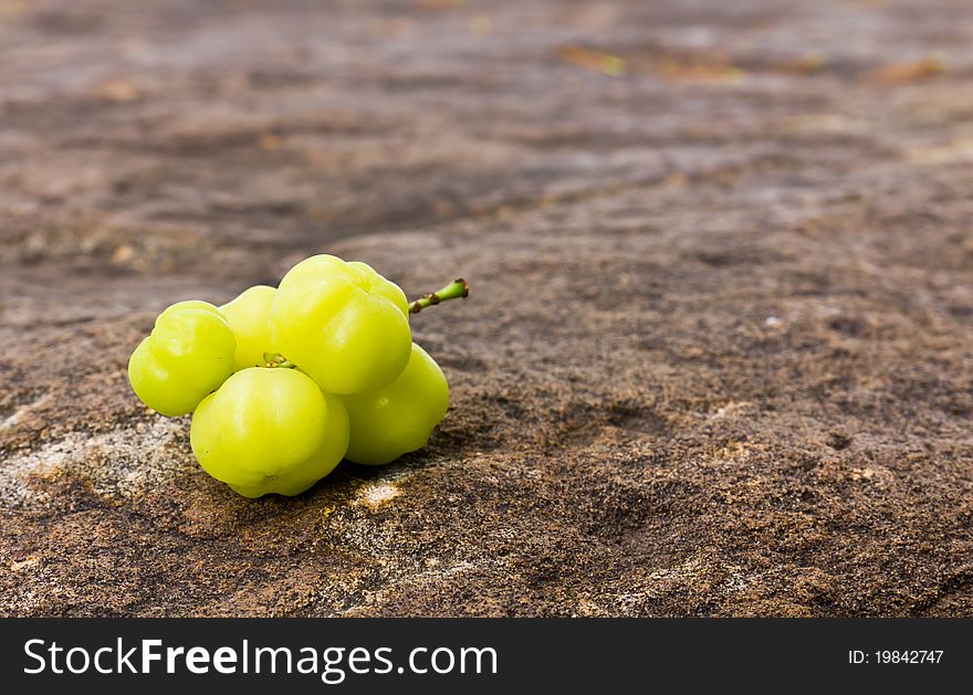 Star Gooseberry On stone background