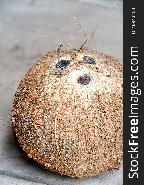 Photo of a Coconut fruit