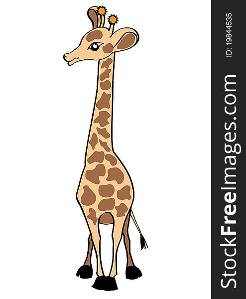 Giraffe On White. Vector Illustration