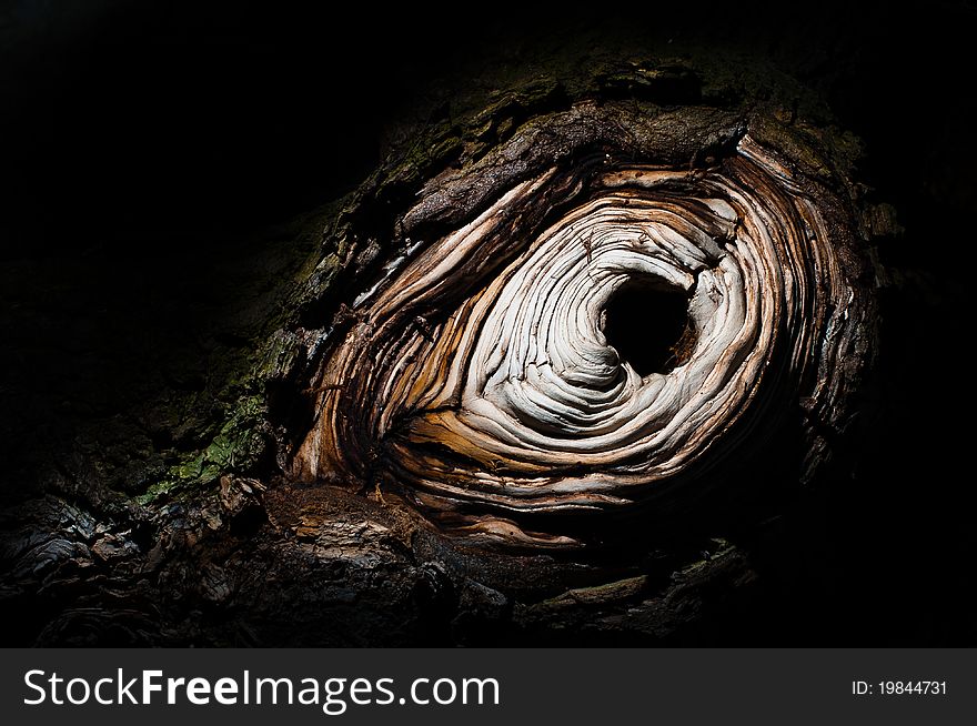 A hole in a tree trunk resembling an eye. A hole in a tree trunk resembling an eye