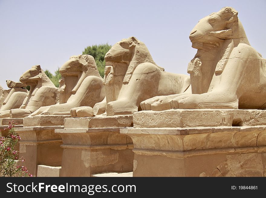 Ancient statues in the Karnak Temple. Luxor