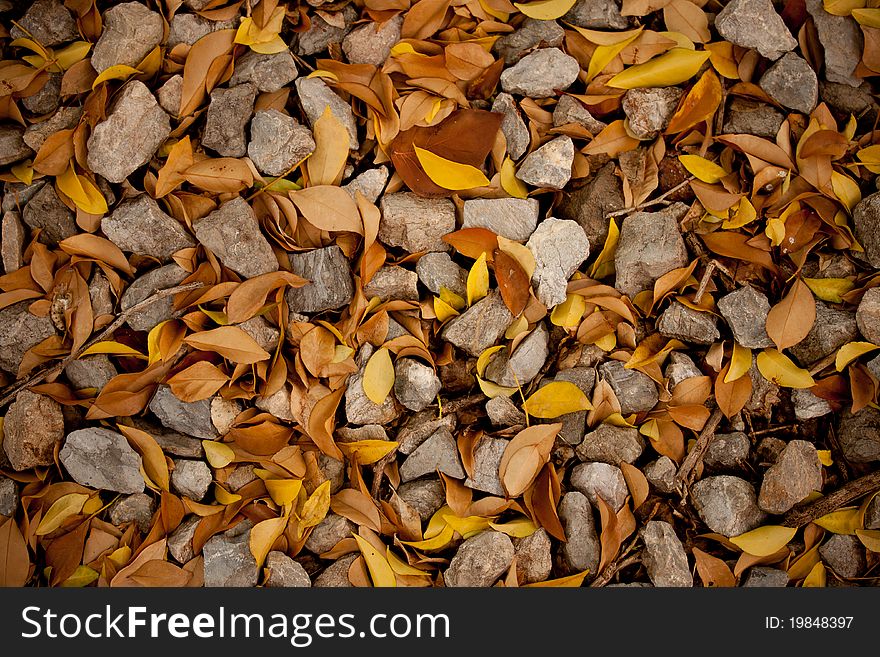 Stone And Leaf Background