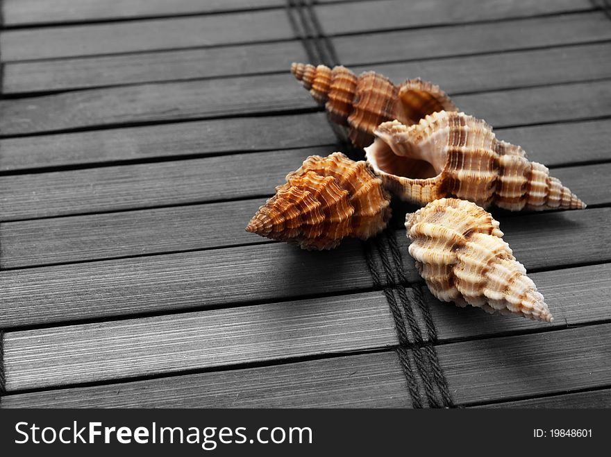 Colored seashells on uncolored wooden mat. Colored seashells on uncolored wooden mat.